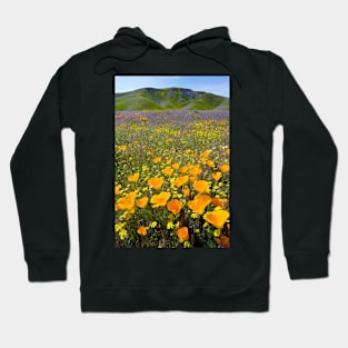 Shell Creek, California (C008/4531) Hoodie